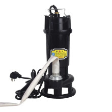 Compact 550W 10m 220V Sewage Pump for Household Septic Systems