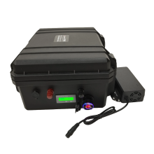 High-Capacity LiFePO4 Battery with BMS for Boats, Motors, UPS, Solar Systems, Street Lights, and EVs - Includes 43.8V 10A Charger