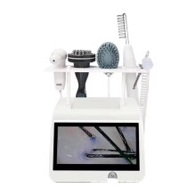 Nanometer Spray Scalp Massager & Hair Therapy Machine for Professional Hair Loss Treatment at Salons