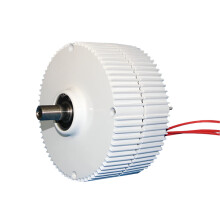 Versatile 1000W Wind & Water Turbine Generator - PMG 12V/24V/48V, 500 RPM AC/DC Power Dynamo