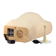 Realistic Pregnancy Examination Model for Gynecological Training