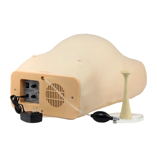 Realistic Pregnancy Examination Model for Gynecological Training