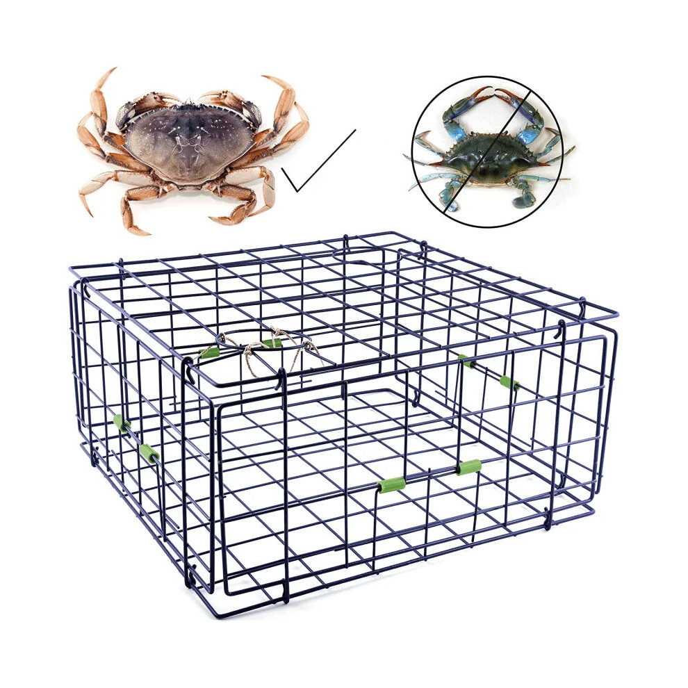 Danielson 24 Deluxe Foldable Pacific Crab Trap - Vinyl Coated Steel Wire for Easy Storage, I for Pacific Northwest-image-OPC-PMGJKPV-NEW