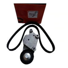 V-Strap Tensioner Set for Peugeot & Citroën Models: 107, 206, 307, C4, C1, C2, C3, C3 Pluriel - Engine 1.4 1.6 HD 299536434