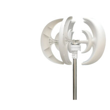 3000W Vertical Axis Wind Turbine Lantern with MPPT Controller for Home, Farm, and Hybrid Street Lighting - Quick Start 12V/24V Motor