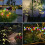 Solar Garden Lights 10 LED Solar Garden Lights 2