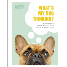Whats My Dog Thinking by Hannah Molloy Hardcover Book