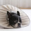 Comfortable Protective Collar Cat Elizabethan Collar Post Surgery Use Soft Polyester Gray Size L 4