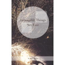 Intangible Things Set book by Ananda Tapasiddha Paperback Book