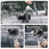 F38 Quick Release Plate Kit for RS4 Mini Stabilizer Gimbals DSLR Cameras 5