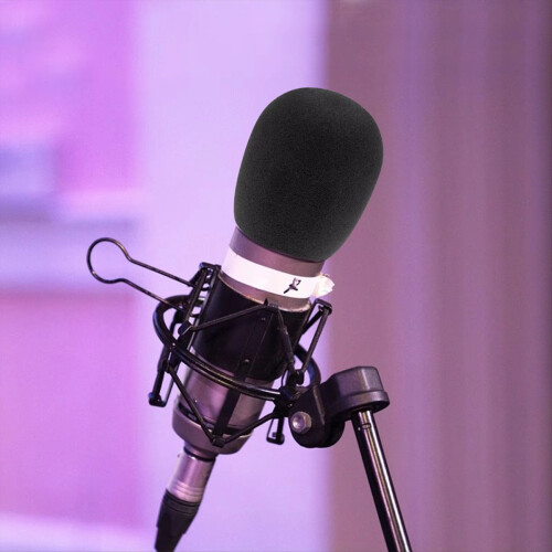 10pcs Mic Cover Microphone Windscreen for Most Handheld Windshield Thick Breathable Foam Protector 2