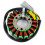 Stator Coil for 800 GTX LE RFI 3