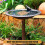 Bird Bath Purification Disk Purification Cleaner with Three-Point 5