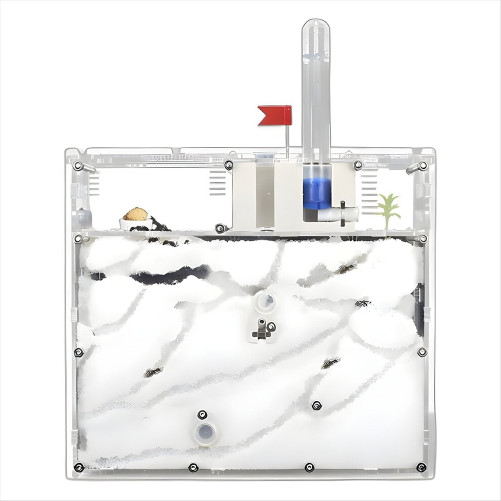 Four-Story Ant Farm With Queen Ant For Pets 4713754102444
