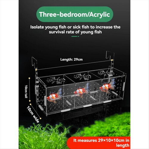 Acrylic Fish Breeder Box 1