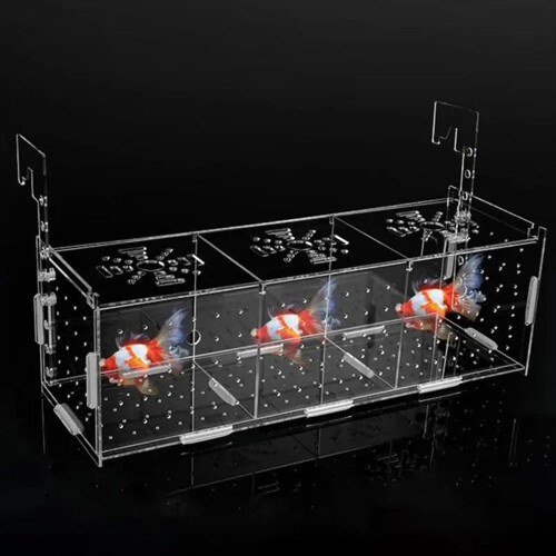 Acrylic Fish Breeder Box 2
