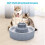 2.1L Ceramic Cat Bowl Activated Carbon Filter 5