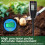Soil Phosphorus Meter 7