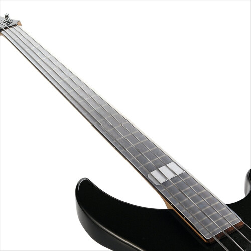 Guitar Fingerboard Dust Guard 2