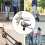 48V Controller+ZQ-100 Mileage Meter Speed Adjustable Electric Scooter 6 Pin Display for 5