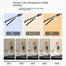 Desk Lamp with Clamp Double Head Architect LED Eye Protection Modern Light 10 Brightnes 3 Color