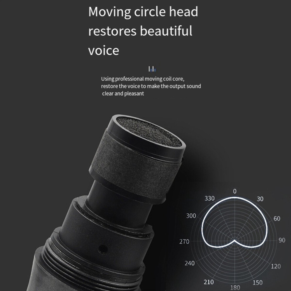 Wireless Microphone 2 Channels Uhf Fixed Frequency Handheld Mic Micphone For Party Professional Show Meeting 4853808665102