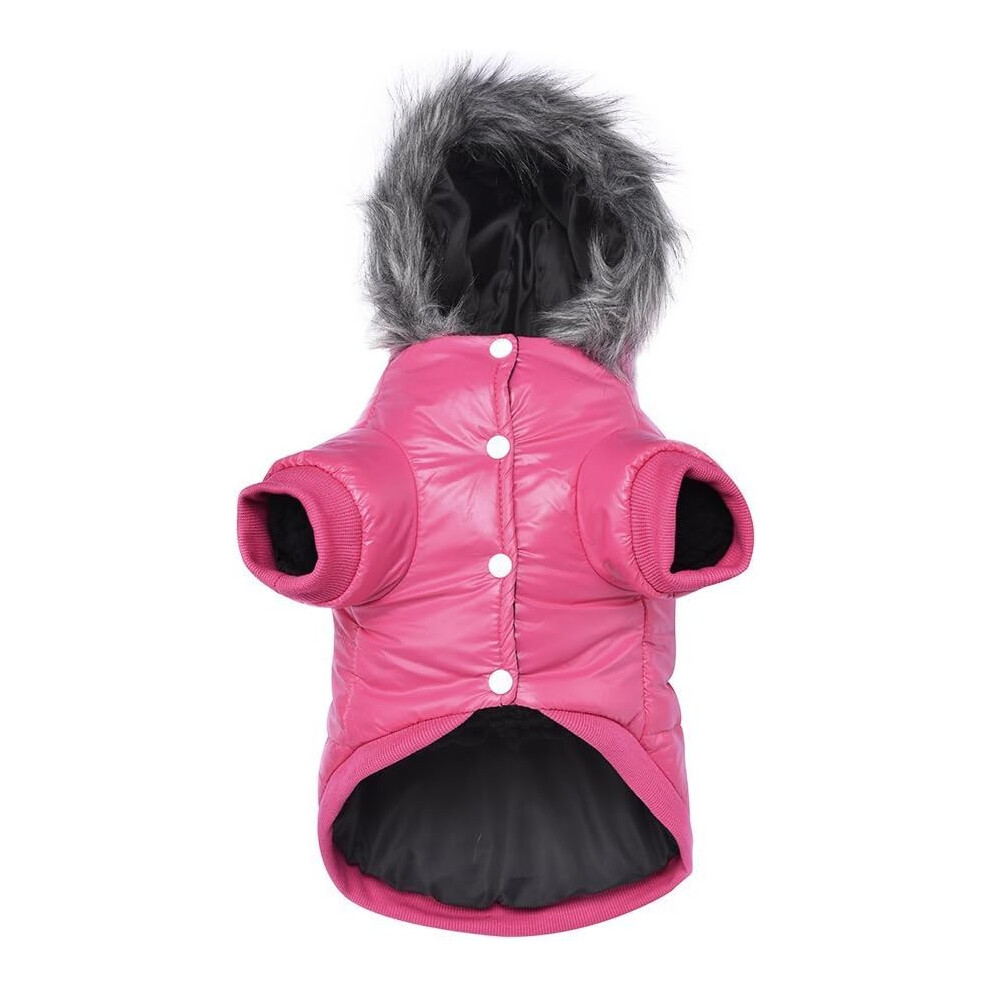 (, M) Zsy Ultra Warm Windproof Puffer Coat For Small Dogs, Waterproof Insulated Winter Jacket For Cold Weather, Pink