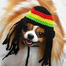 ZSY Knitted Dog Hat with Dreadlocks - Winter Woolen Pet Cap, Cool Cosplay Headwear for Dogs & Cats, Party Accessory for Christmas, Pet Birthday & Holi