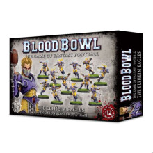 The Elfheim Eagles Blood Bowl Team - Tabletop Miniatures Wargame