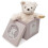 Posh Paws Ragtales Darcy Bear 1