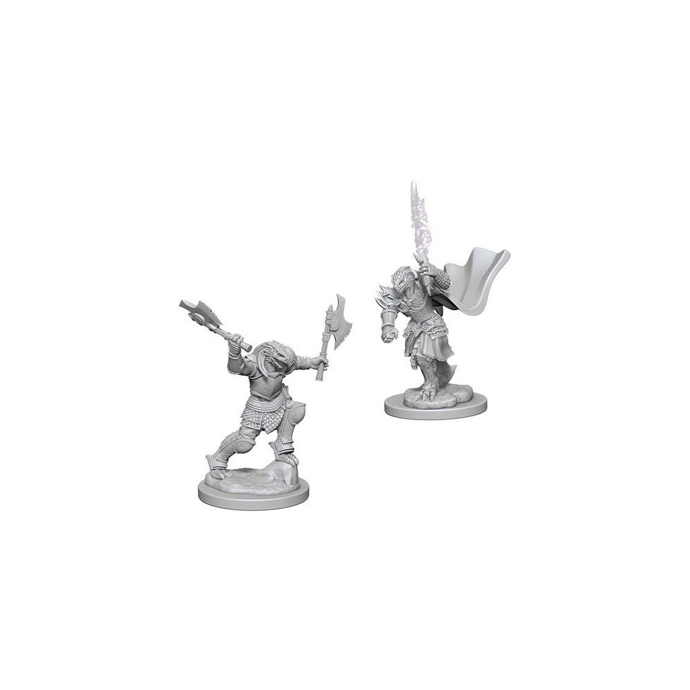 Asmodee Dungeons & Dragons: Nolzur's Marvelous Unpainted Miniatures: Dragonborn Female Fighter (Wave 4)