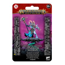Tzeentch Arcanites Tzaangor Shaman - Tabletop Miniatures Wargame