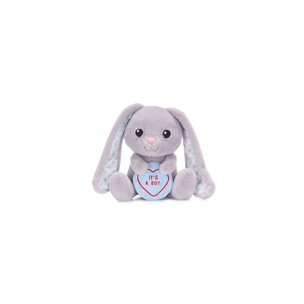 Love Hearts 18Cm (7") Baby Boy Bunny Posh Paws