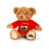 Keel Keeleco: 18cm Cymru Bear - Plush Soft Toy 1
