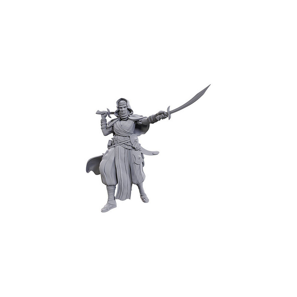 Asmodee Desert Giant: Pathfinder Deep Cuts Unpainted Miniatures (W23)