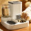 Cat Feeder and Water Dispenserpet feeder 2