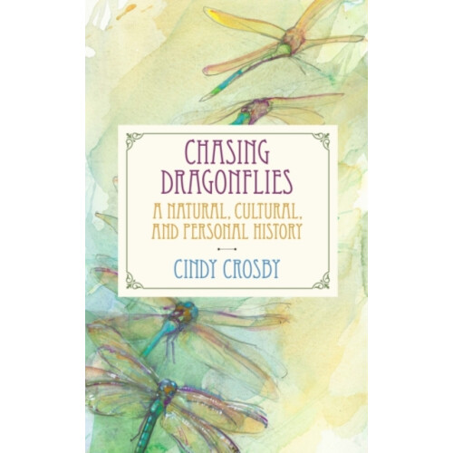 Chasing Dragonflies by Cindy Crosby Paperback Book