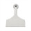 Carpet Laying Chisel Seamless Fitting 2