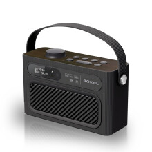 Roxel RDR-40 Stereo DAB/DAB+ Digital and FM Radio Portable Wireless Speaker with Dual Alarm Clock Function, USB & Micro SD MP3 Playback Function, 3.5