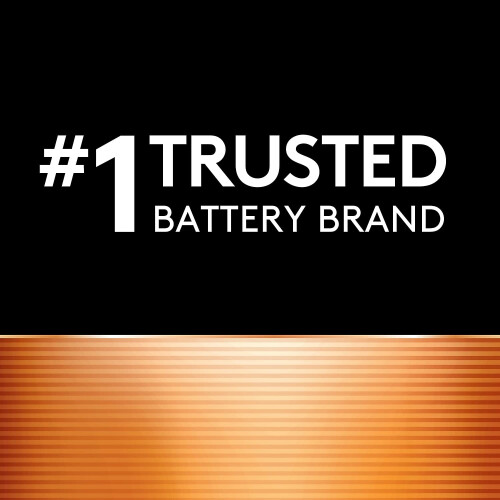 Duracell Duracell 6V Lantern Battery 2