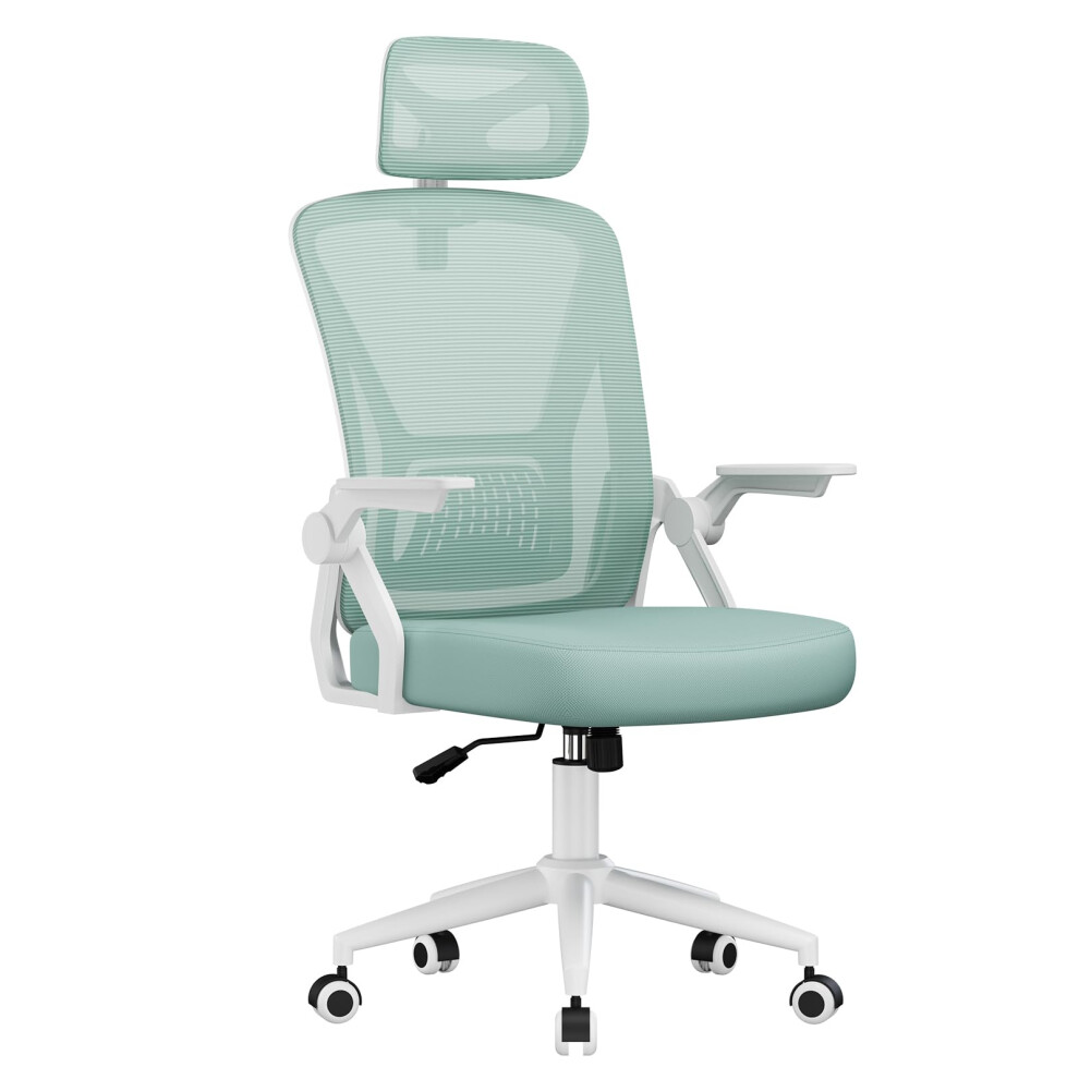 naspaluro Computer Desk Chair with 2D Adjustable Headrest/Flip-up Armrests/Back Support/Metal Claws, Swivel Mesh Ergonomic Office Chairs, Comfy High-image-OPC-PMGTFSV-NEW