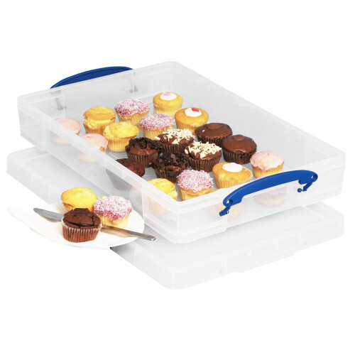 Really Useful Really Useful Box Storage 10 Litre Clear 2