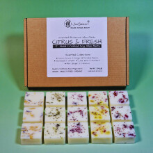Citrus & Fresh - Highly Scented Botanical Wax Melts Collections (15 x 13.5g Hand Crafted) - Vegan Friendly & Cruelty Free - Plastic Free - Provide 8