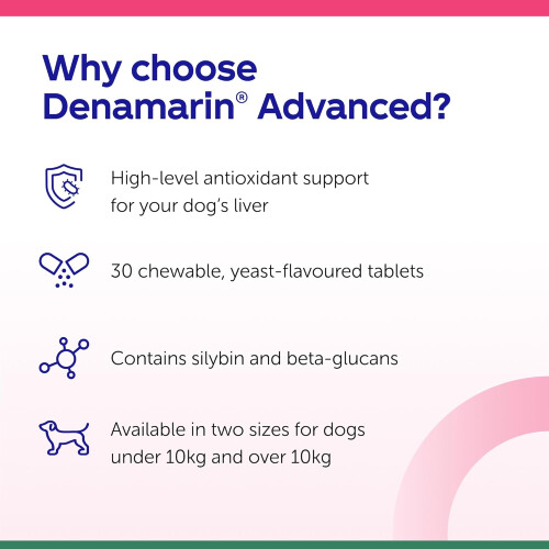 Protexin Denamarin Advanced for Dogs under 10kg 30 Tablets 1