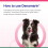 Protexin Denamarin Advanced for Dogs under 10kg 30 Tablets 3