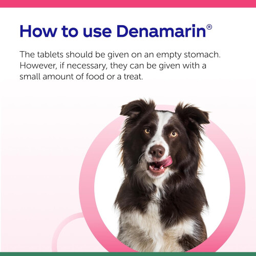 Protexin Denamarin Advanced for Dogs under 10kg 30 Tablets 2
