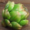 9Pcs Green Artificial Artichoke Plastic Fake Flowe 11