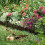 Garden Lawn Edging - 40 Pack Landscape Border Flex 9