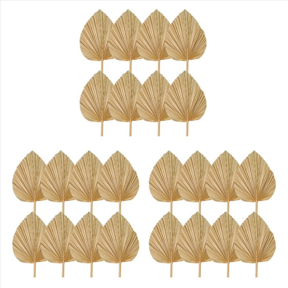 24Pcs Dried Palm Leaves Decorations Trimmed Spear 4851770230243