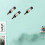 6 Pack Metal Wine Rack Wall Mounted Bottle Holder 7